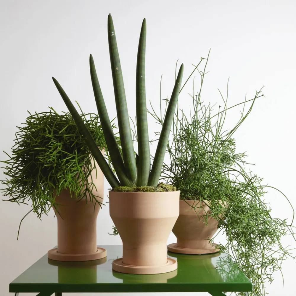 Viadurini in the Garden Deko Vasen-Design Blumenvase aus Terrakotta mit Untertasse Made in Italy - Ettie