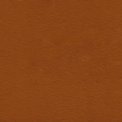 Limac Design Zeitungsständer-Lory Design Wand-montiert Lederzeitschrift Rack, hergestellt in Italien