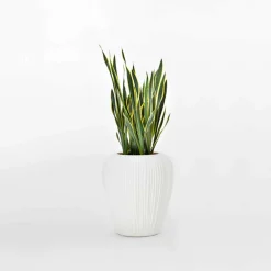 Myyour Gartenideen|Lichtmöbel-Modernes Design Leuchtende Außenvase aus Polyethylen, 2 Stück - Haut von