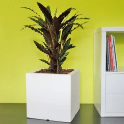 Viadurini in the Garden Gartenideen-Topf oder farbiger Teiler für den Außenbereich 3 Dimensionen Made in Italy - Pflanzen