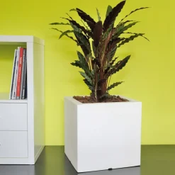 Viadurini in the Garden Gartenideen-Topf oder quadratischer Gartenteiler dreifarbig Made in Italy - Pflanzen