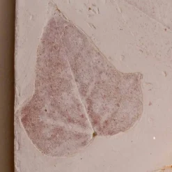 Toscot Klassische Wandleuchten-Vivaldi Wandlampe aus Terrakotta made in Italy