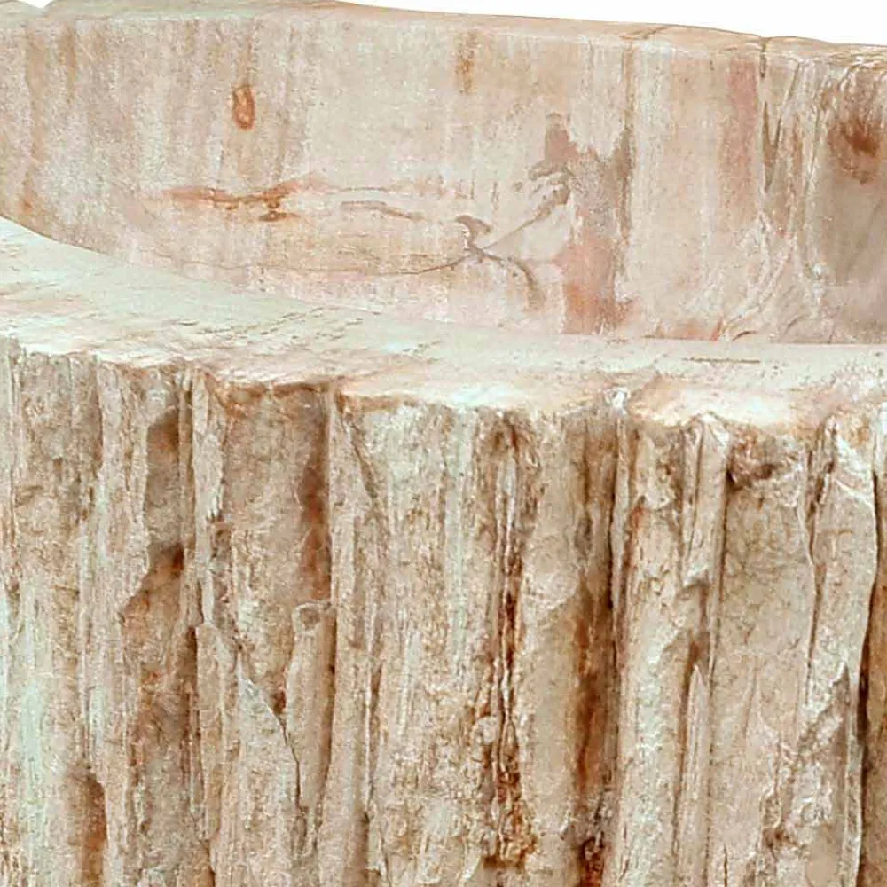 Viadurini Bathroom Steinwaschbecken-Waschbecken Aufsatzwaschbecken aus versteinerten Holz Unikat Goa Design