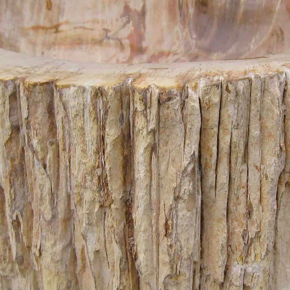 Viadurini Bathroom Steinwaschbecken-Waschbecken Aufsatzwaschbecken aus versteinerten Holz Unikat Goa Design