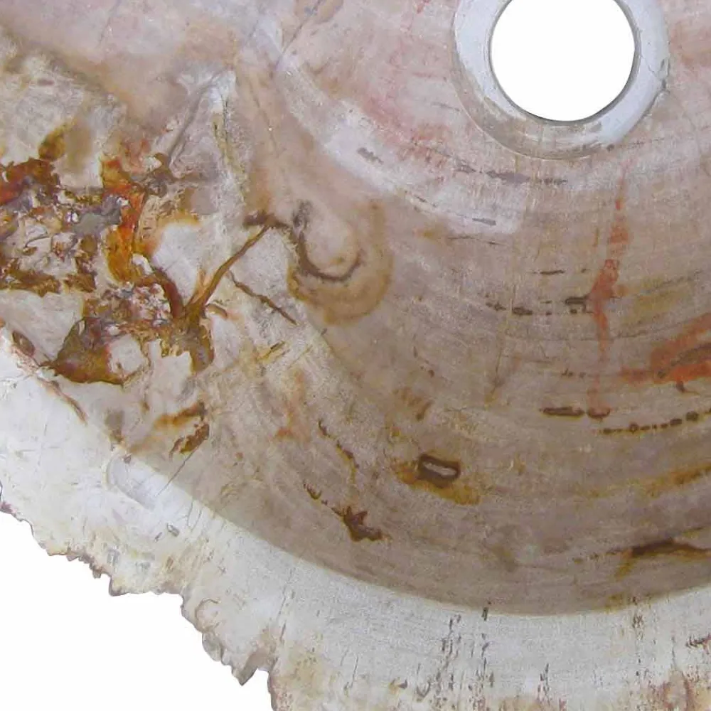 Viadurini Bathroom Steinwaschbecken-Waschbecken Aufsatzwaschbecken aus versteinerten Holz Unikat Goa Design