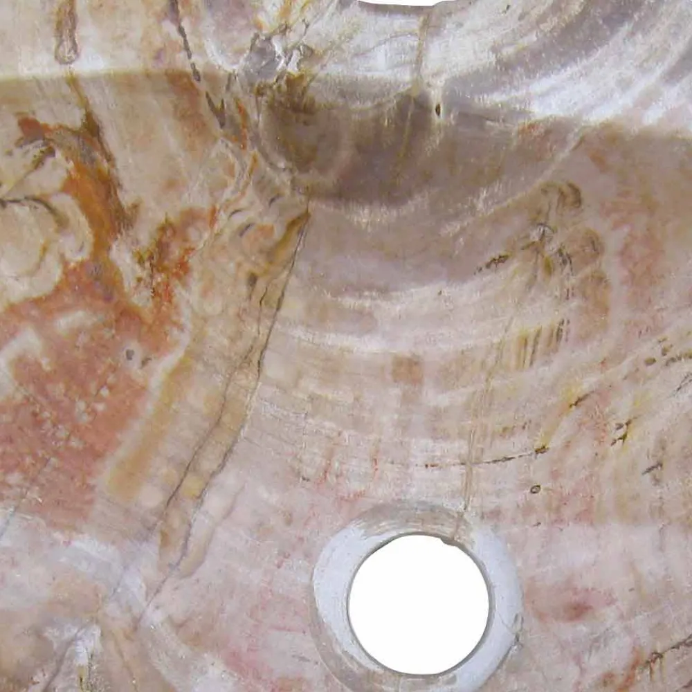 Viadurini Bathroom Steinwaschbecken-Waschbecken Aufsatzwaschbecken aus versteinerten Holz Unikat Goa Design